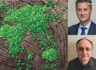 The urgent need to create a nature-based economy (by Ralph Chami, Dinah Nieburg, Thomas Cosimano, Connel Fulemkamp)