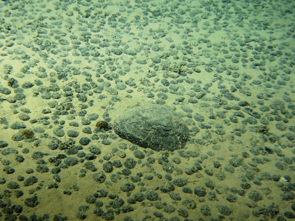 Polymetallic nodules observed in the North Pacific during the Nodinaut campaign in 2004