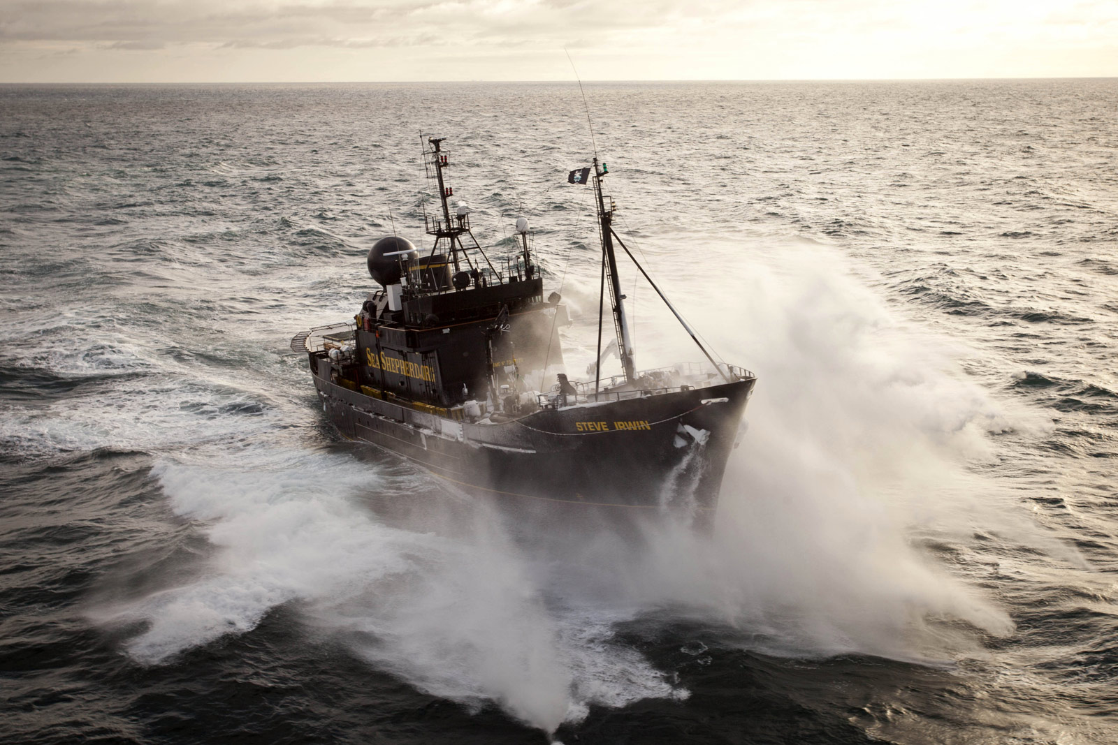Le Steve Irwin, navire amiral de Sea Shepherd / photo Sea Shepherd