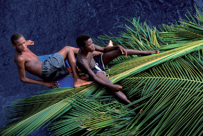 Transport de palmes aux Antilles (PHOTO : PHILIP PLISSON)